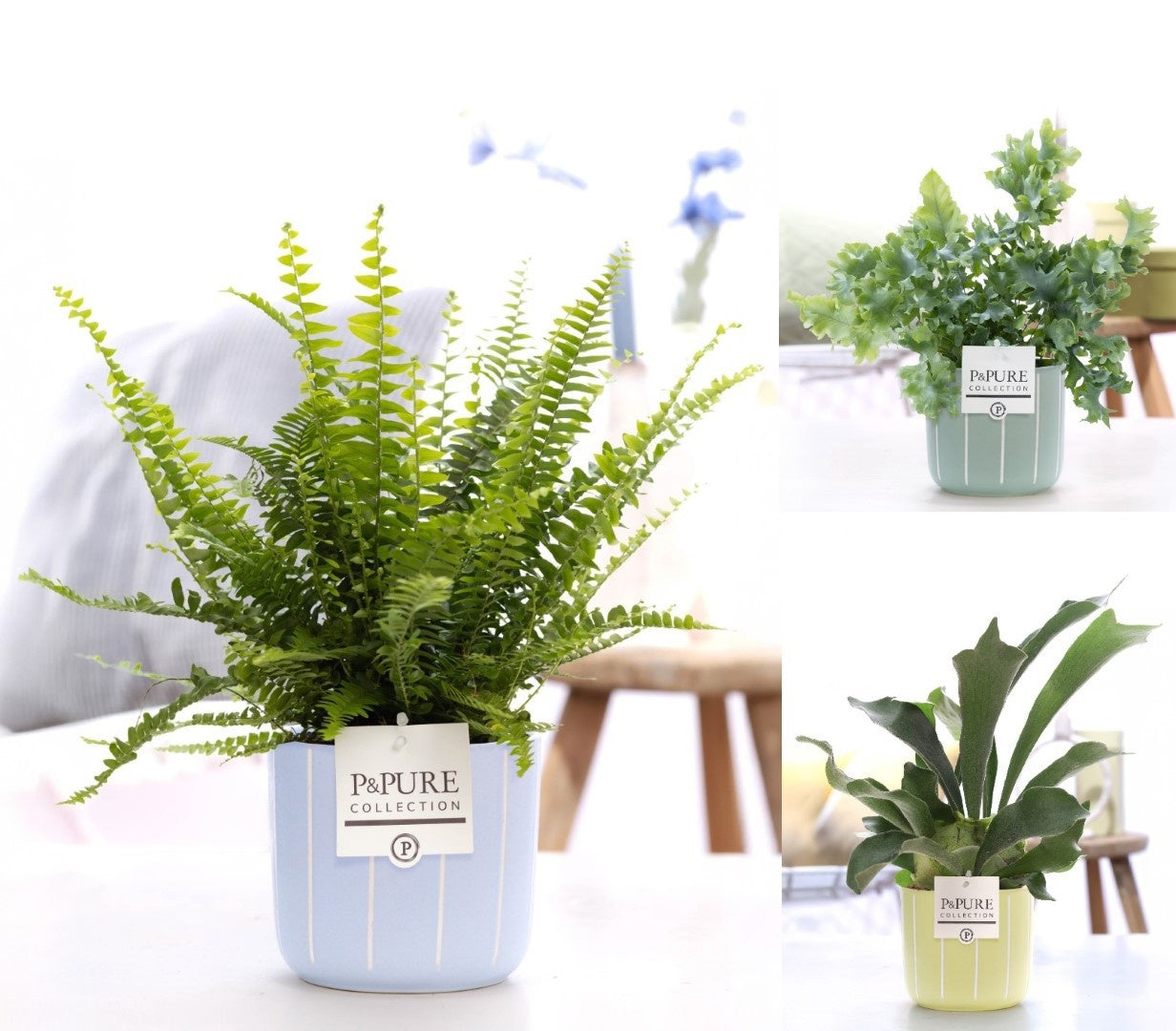 Varens Gemengd Keramiek Fleur