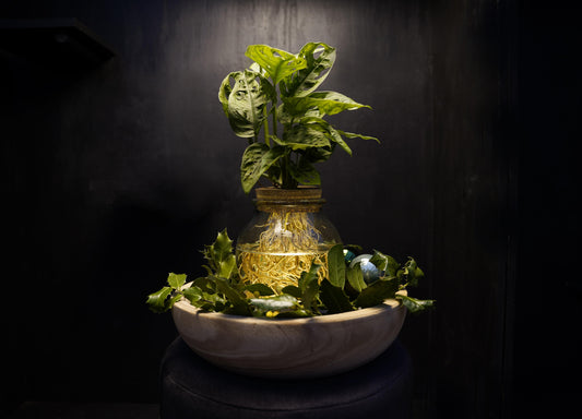 Opm Intenz Gemengd Bolglas + LED