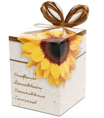 Bloembol Greengifts Sunflower (x40)