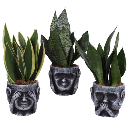 Sans Tri Gemengd Keramiek