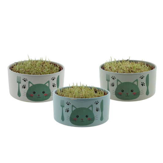 Kattegras Keramiek Kattenvoerbak