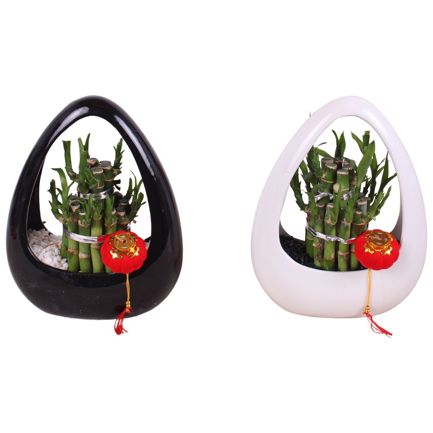 Dra Lucky Bamboo Round Keramiek Ikebana Zwart & Wi