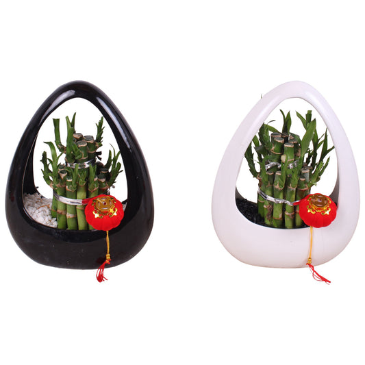 Dra Lucky Bamboo Round Keramiek Ikebana Zwart & Wi