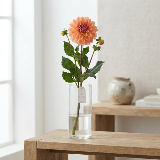 Orange Dahlia ‘Chanel’ – 55cm Cut Stems