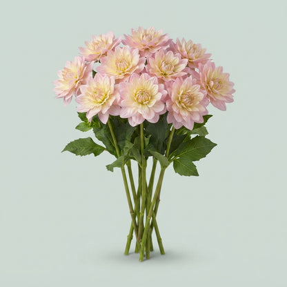 Dahlia ‘Lady Diana’s Memory’ – Purple Cut Flowers