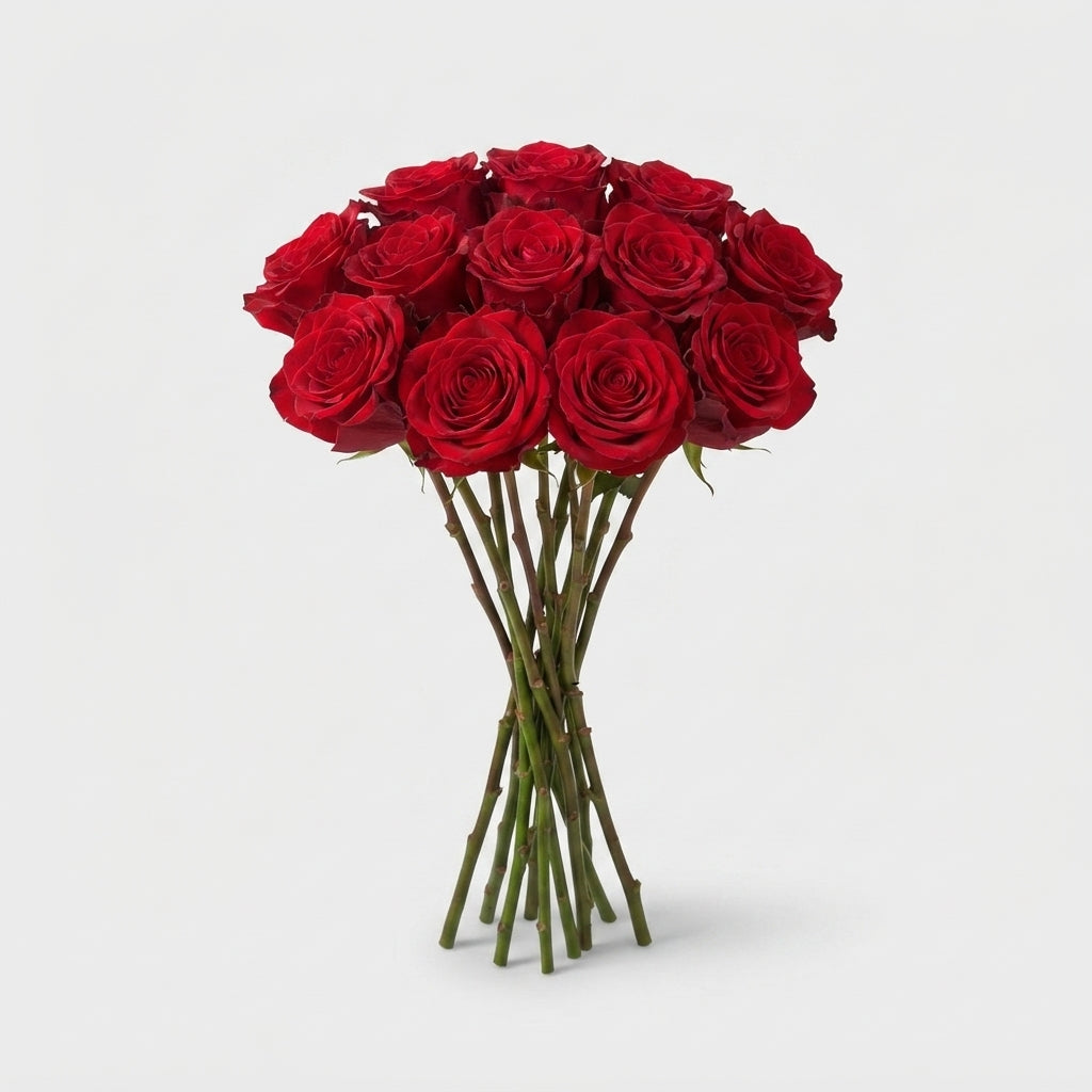 Rose - Rosa - Red Naomi