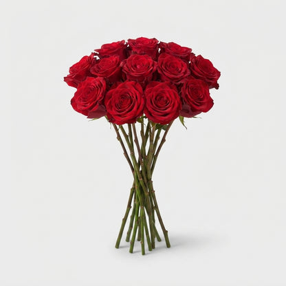 Rose - Rosa - Red Naomi