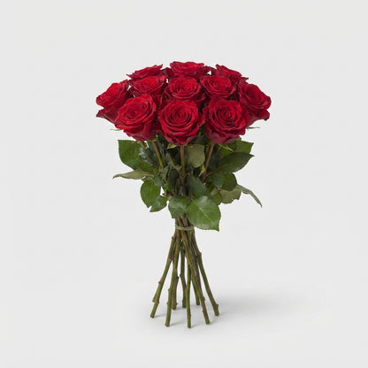 Rose - Rosa - Red Naomi