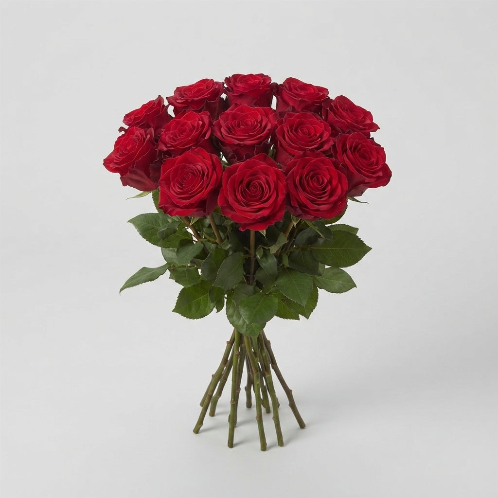 Rose - Rosa - Red Naomi