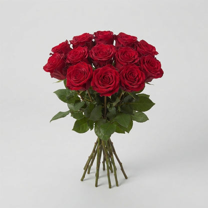 Rose - Rosa - Red Naomi