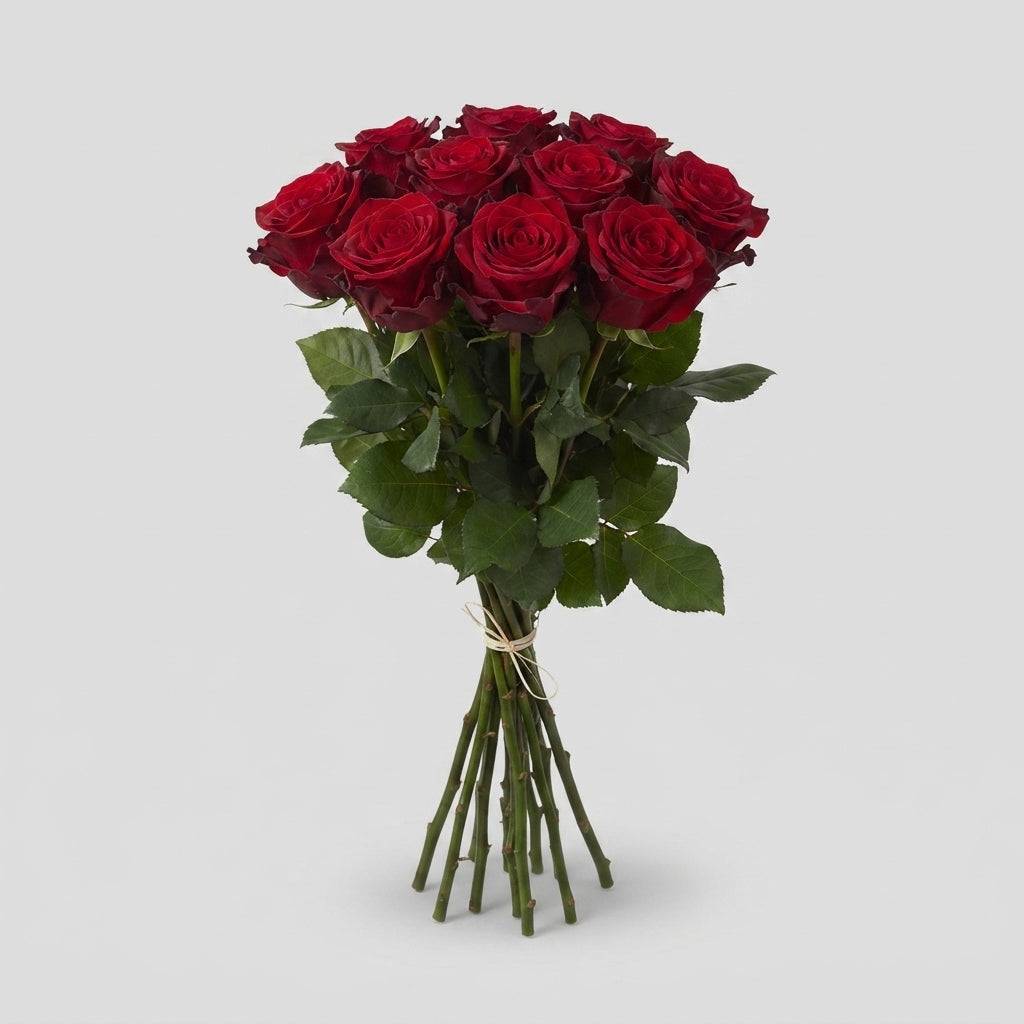 Rose - Rosa - Red Naomi