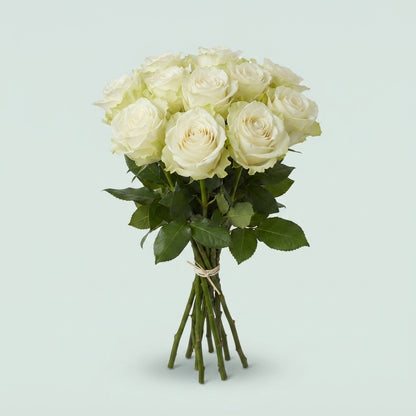 Rose - Rosa - Large Flowered