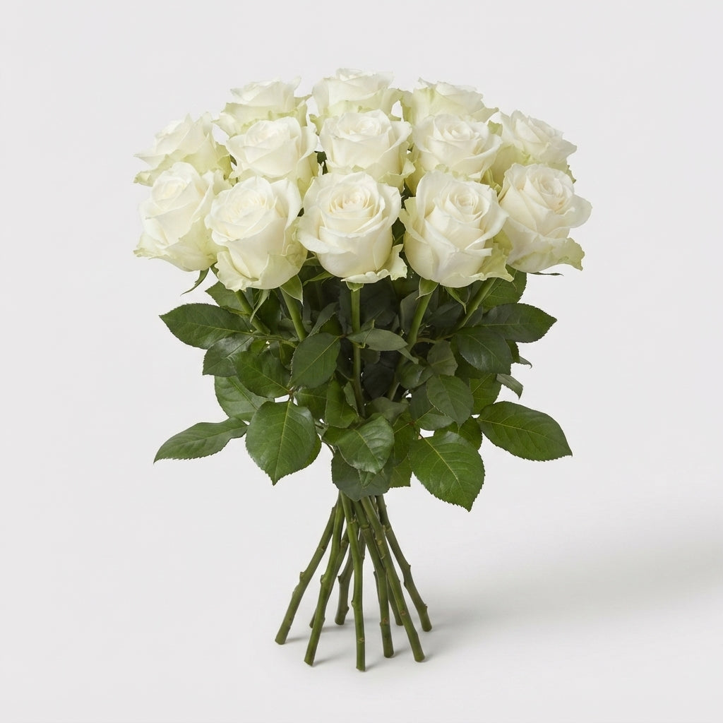 Rose - Rosa - Large Flowered
