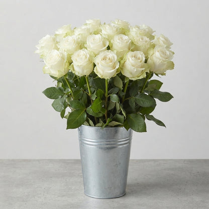 FeedSync:wholesale:880849d7ee3c2640774489dc411f0610a725d25b