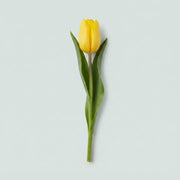 FeedSync:wholesale:7dd4e863c0ac45b23ce9a5451025464e795917b5
