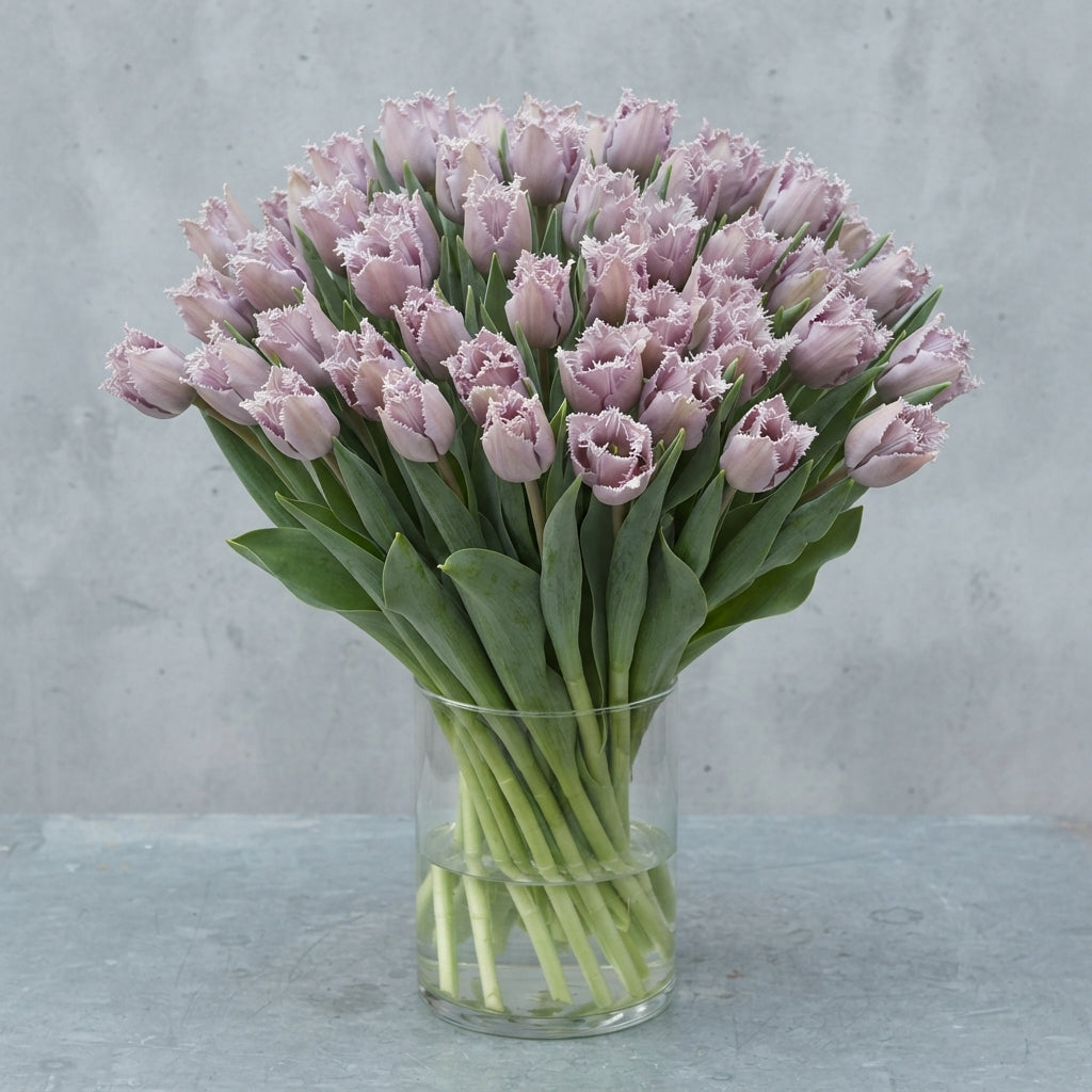 Tulip Fringed Dyed Grey-Pink