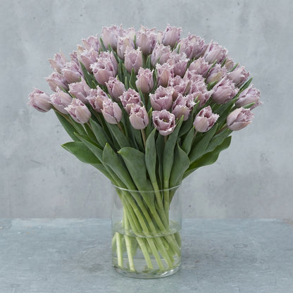 FeedSync:wholesale:3cfe62e2d124ac5b0f6f7846d96289fae1e776dd