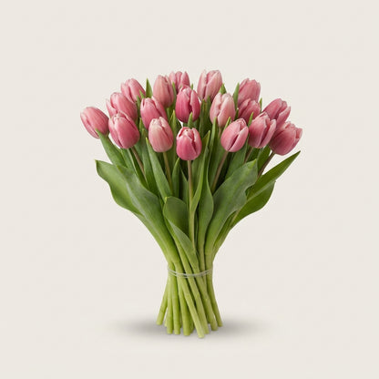FeedSync:wholesale:66046e9d0ba7bb41efc9fb9bd35007440dc578ff