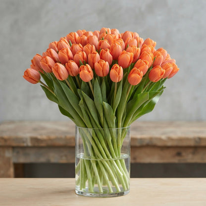 FeedSync:wholesale:aa2f9853468288dfabe29673a4346159142ba91d