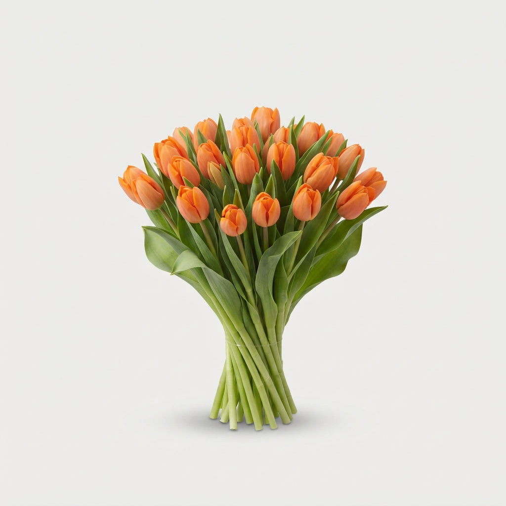 FeedSync:wholesale:52033d7176ae83608e1337ddb0715c2955e2d95a