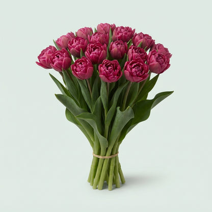 FeedSync:wholesale:50a2e5264ea42ed9f726d36563b14efc18706455