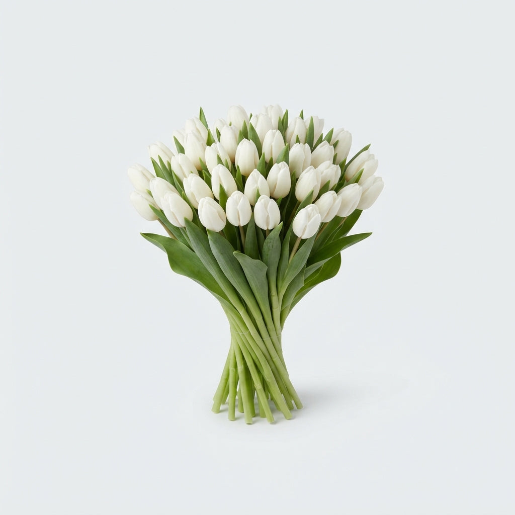 FeedSync:wholesale:2b82342e428754e493dda9c55c0a26766cd96994