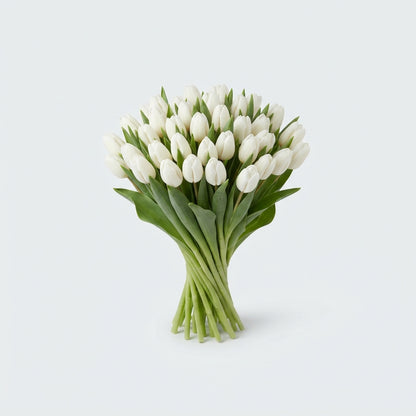 FeedSync:wholesale:2b82342e428754e493dda9c55c0a26766cd96994