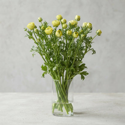 FeedSync:wholesale:b6785bc0c4be2af9e44bd2da1f7853af7a31939f