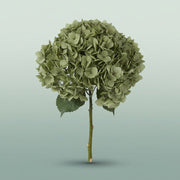 FeedSync:wholesale:606372487ca036a8533b5025f3c5b0dc2b04427d