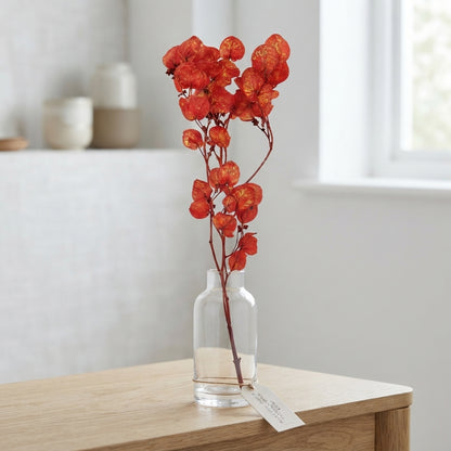 FeedSync:wholesale:f5a29d4134bf3c36b703c3df0cd3f9a135968b62