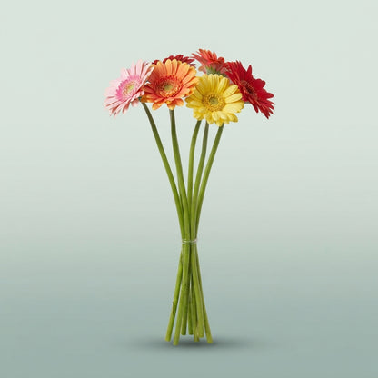 FeedSync:wholesale:361e0ecd4408f513b139978404a903d943deb0b8