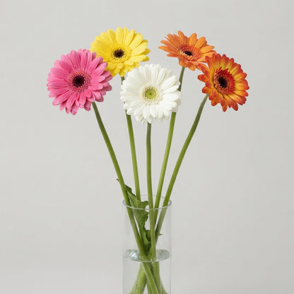 FeedSync:wholesale:48dc3ceb8f2d8d5ae2a377549d75afed4a9a7d66