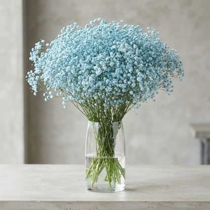 FeedSync:wholesale:914ac0d1be5b889086a3a7c7a5cdc51789a6763c