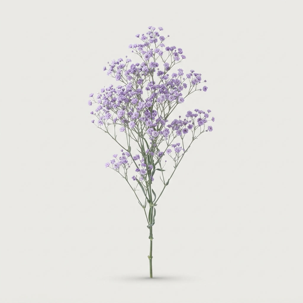 FeedSync:wholesale:df7a713585c40124176f88fbf5fbc7e4b721d027