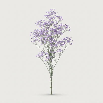 FeedSync:wholesale:df7a713585c40124176f88fbf5fbc7e4b721d027