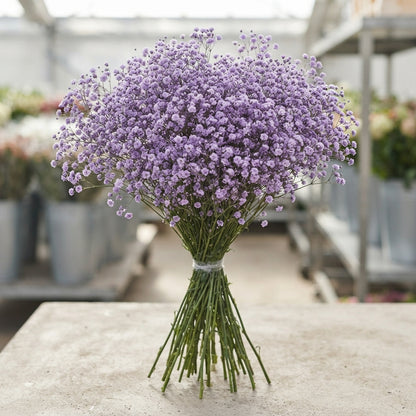 FeedSync:wholesale:da2d5df976ec639791009b0e9fe216309c4f58ad