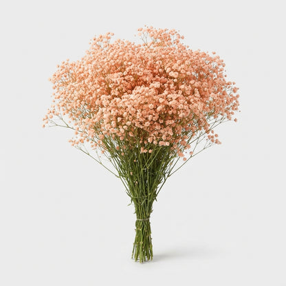 FeedSync:wholesale:4077ffcd20d8e5982cfddde77f899d629a96c007