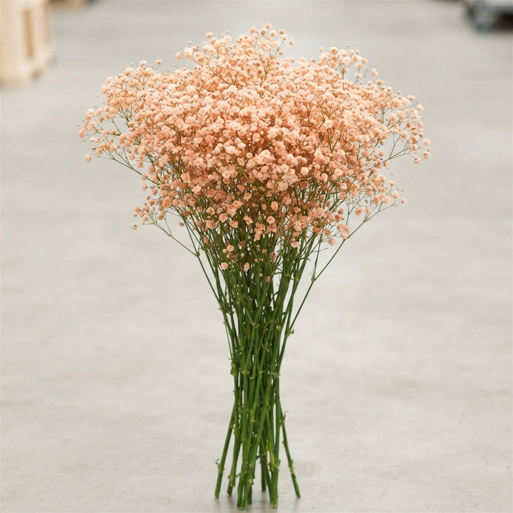FeedSync:wholesale:1d710e151f5fb97403f8a955ba81cf479dcc4f04