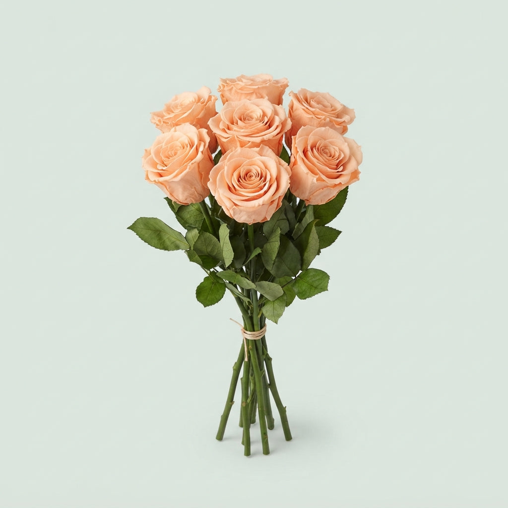 FeedSync:wholesale:a094a525a4684532a82334d60c28182045ed0b6b