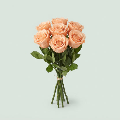 FeedSync:wholesale:a094a525a4684532a82334d60c28182045ed0b6b
