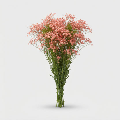 FeedSync:wholesale:632ac7b1fcf75e4c6b98c610a138d4cec0559fef