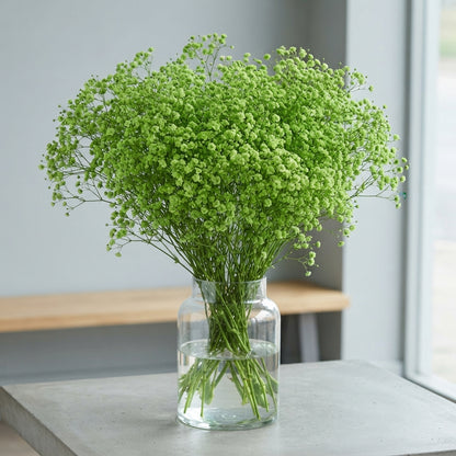 FeedSync:wholesale:dacfdd2dc7baab1426abd72a61d2623f915e66b7