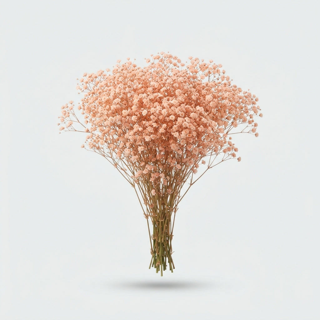 FeedSync:wholesale:76c0bf0b864ef7878000876b48182727820403b7