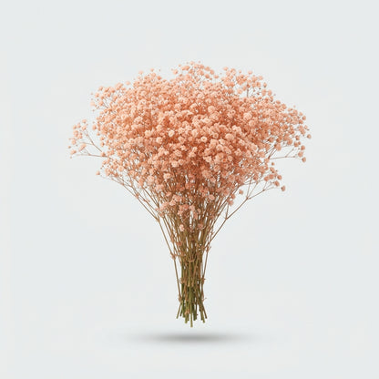 FeedSync:wholesale:76c0bf0b864ef7878000876b48182727820403b7
