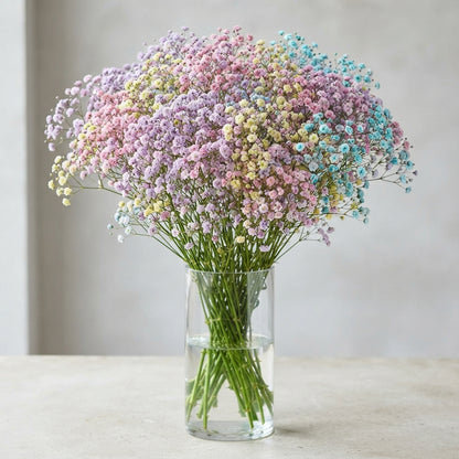 FeedSync:wholesale:a237df9a213ad8b67665997e9fd879e130bd8e0a