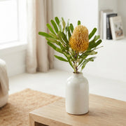 FeedSync:wholesale:10044aabe38a7cbcd3aba9e95662302485d88f1c