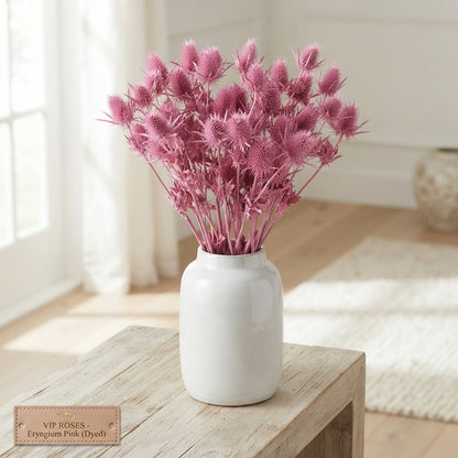 Dyed Pink Eryngium Cut Flowers – 60cm Stems