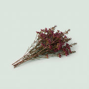 FeedSync:wholesale:f32cec017015b0b8a37c3092564184803aa7020d