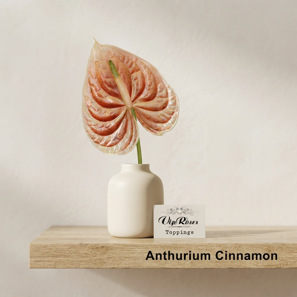 Gold Anthurium Cut Stems – 50cm