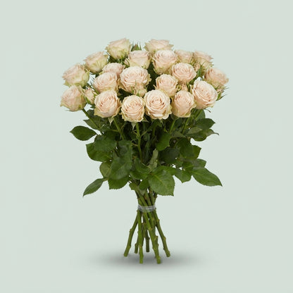 FeedSync:wholesale:0d06eb9185bed2b8177995d88c90f66313da55e4